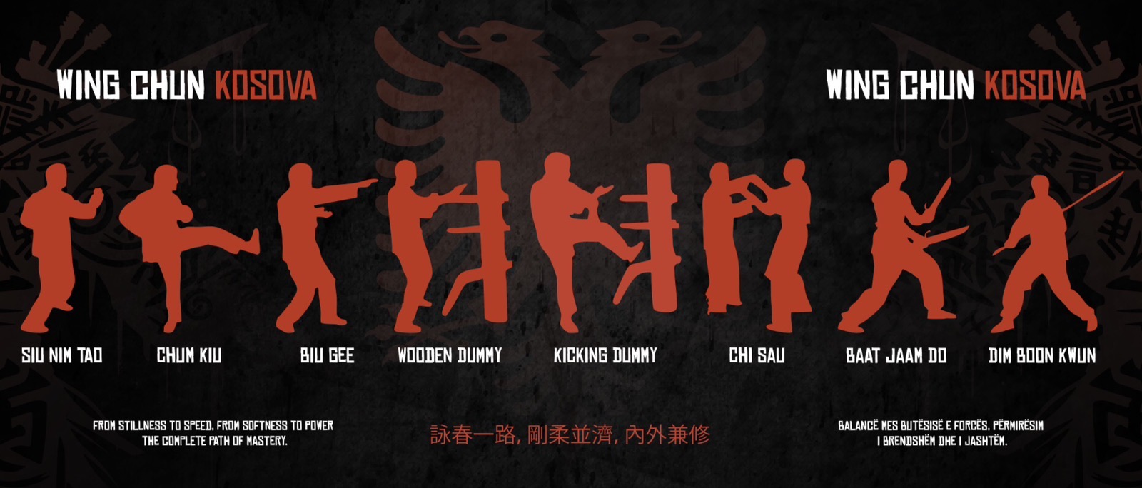 Stërvitje në Wing Chun Kosova